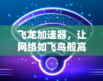 飞龙加速器，让网络如飞鸟般高效运行