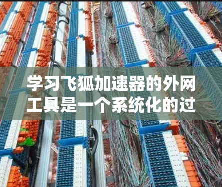 学习飞狐加速器的外网工具是一个系统化的过程，以下是有条理地整理出的步骤和建议
