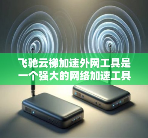 飞驰云梯加速外网工具是一个强大的网络加速工具，旨在帮助用户加速外网连接或进行网络封闭。以下是详细的步骤指南