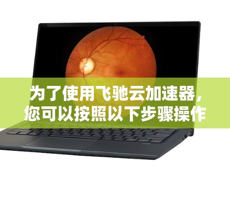 为了使用飞驰云加速器，您可以按照以下步骤操作