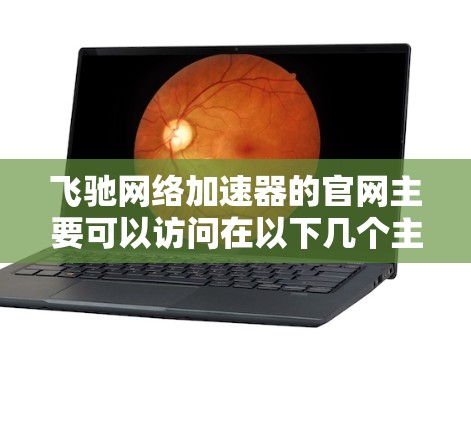 飞驰网络加速器的官网主要可以访问在以下几个主要来源