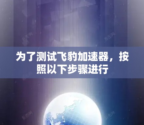 为了测试飞豹加速器，按照以下步骤进行