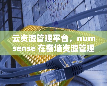 云资源管理平台，numsense 在翻墙资源管理中的应用