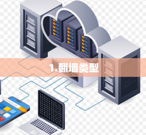 1.翻墙类型