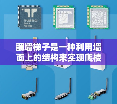 翻墙梯子是一种利用墙面上的结构来实现爬楼的技术，主要用于特定建筑领域。以下是关于翻墙梯子的详细信息