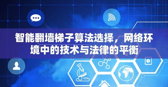 智能翻墙梯子算法选择，网络环境中的技术与法律的平衡