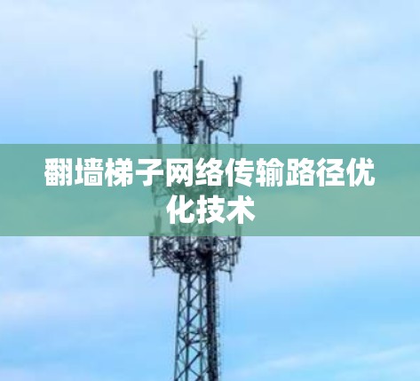翻墙梯子网络传输路径优化技术