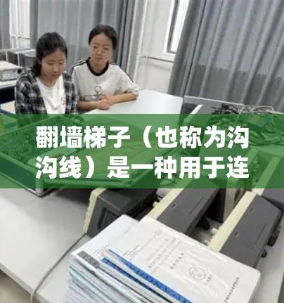 翻墙梯子（也称为沟沟线）是一种用于连接设备或物理结构的导线系统，通常用于在建筑物内部或外部进行通信。以下是一些关于翻墙梯子的配置步骤和注意事项