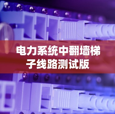 电力系统中翻墙梯子线路测试版
