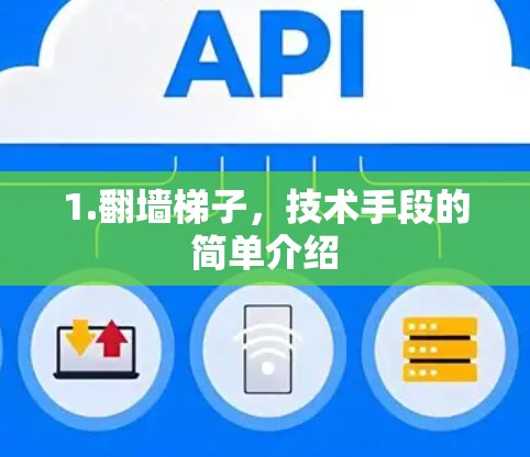 1.翻墙梯子，技术手段的简单介绍
