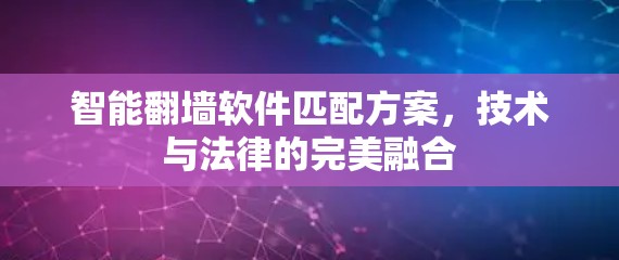 智能翻墙软件匹配方案，技术与法律的完美融合
