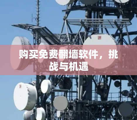 购买免费翻墙软件，挑战与机遇