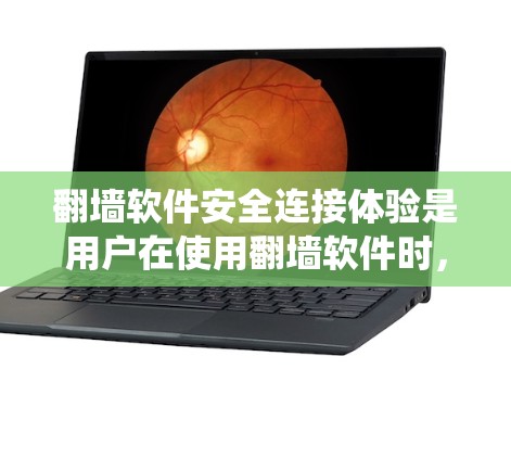 翻墙软件安全连接体验是用户在使用翻墙软件时，系统连接到目标网站的安全性和完整性。以下是对翻墙软件安全连接体验的详细分析