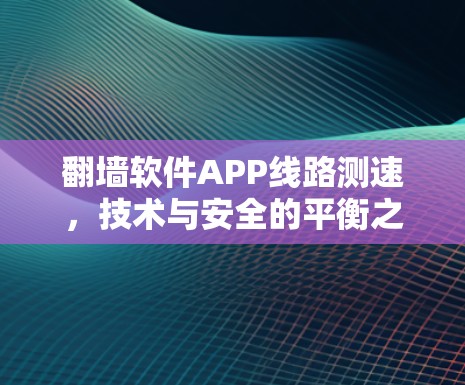 翻墙软件APP线路测速，技术与安全的平衡之道