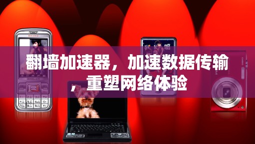 翻墙加速器，加速数据传输，重塑网络体验