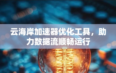 云海岸加速器优化工具，助力数据流顺畅运行