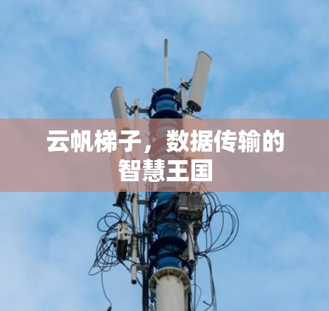 云帆梯子，数据传输的智慧王国