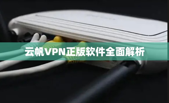云帆VPN正版软件全面解析