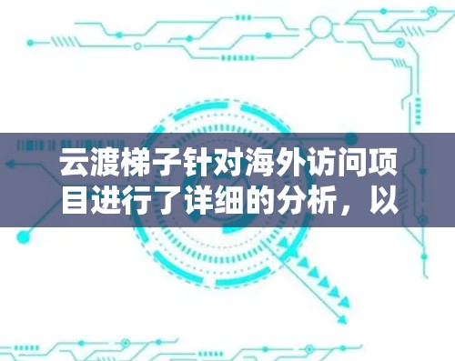 云渡梯子针对海外访问项目进行了详细的分析，以下是关键点总结