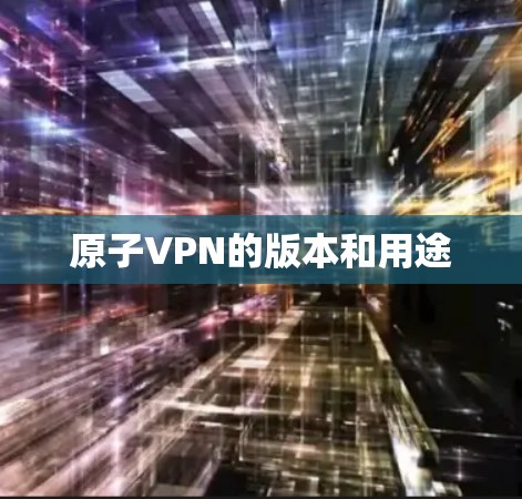 原子VPN的版本和用途