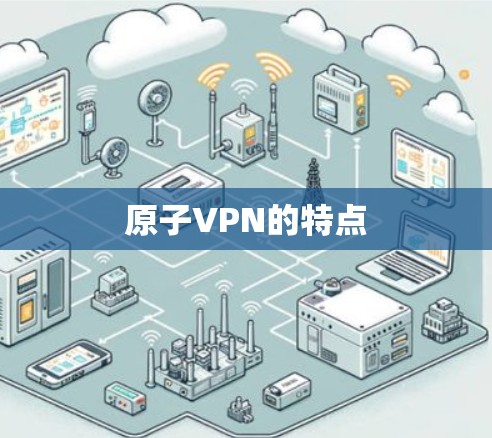 原子VPN的特点