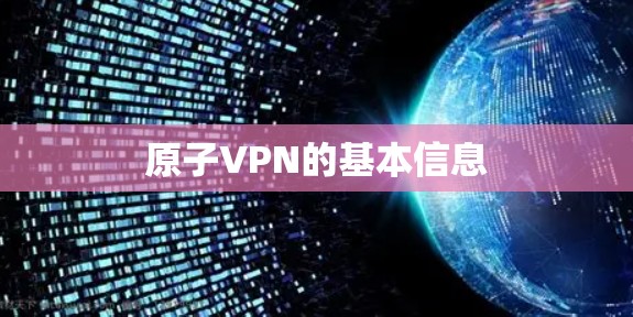 原子VPN的基本信息