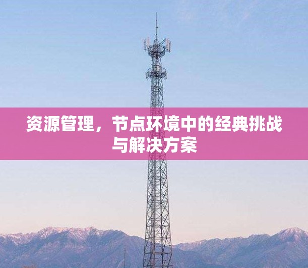 资源管理，节点环境中的经典挑战与解决方案