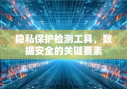 隐私保护检测工具，数据安全的关键要素