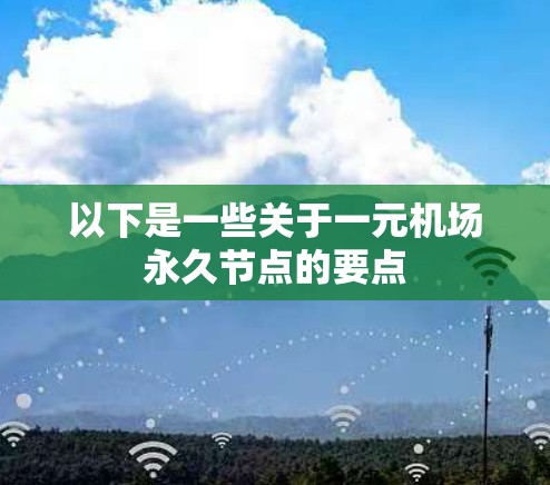 以下是一些关于一元机场永久节点的要点