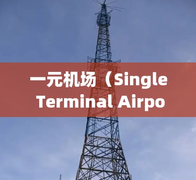 一元机场（Single Terminal Airport）是一种设计优化的机场，旨在解决传统机场在繁忙高峰时期的人流拥挤问题。以下是其主要特点和目的