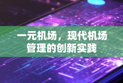 一元机场，现代机场管理的创新实践