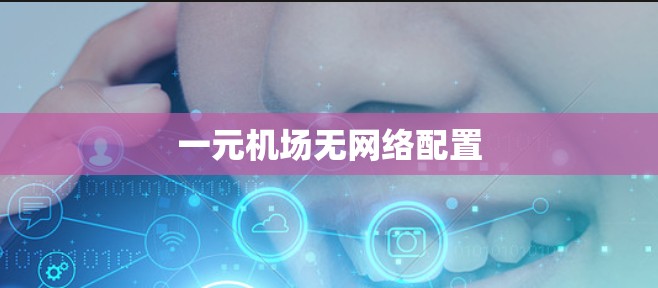 一元机场无网络配置