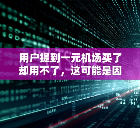 用户提到一元机场买了却用不了，这可能是因为购买的机场价格太低，用户无法负担，或者机场设施不够完善，用户无法利用。以下是一些可能的解决方案
