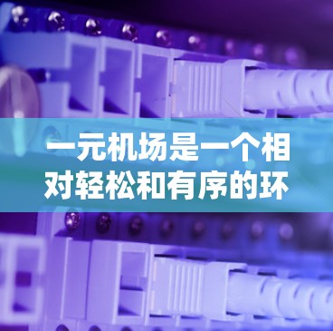 一元机场是一个相对轻松和有序的环境，通常适合快速通过检查并找到所需物品。以下是一些关键点