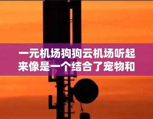 一元机场狗狗云机场听起来像是一个结合了宠物和数字化技术的机场入口服务，可能是指一种通过宠物技术或宠物服务来提升机场服务的数字化体验。以下是一些可能的解释和内容