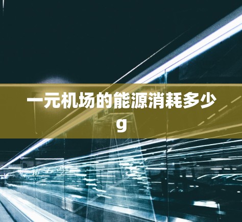 一元机场的能源消耗多少g