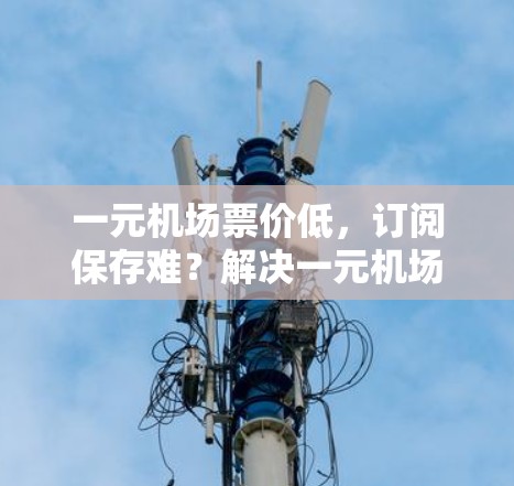 一元机场票价低，订阅保存难？解决一元机场订阅存储难题