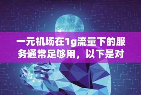 一元机场在1g流量下的服务通常足够用，以下是对这一问题的详细分析