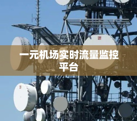 一元机场实时流量监控平台