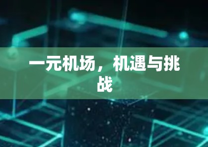 一元机场，机遇与挑战