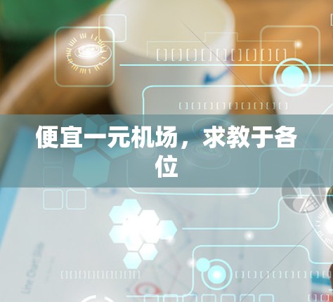 便宜一元机场，求教于各位