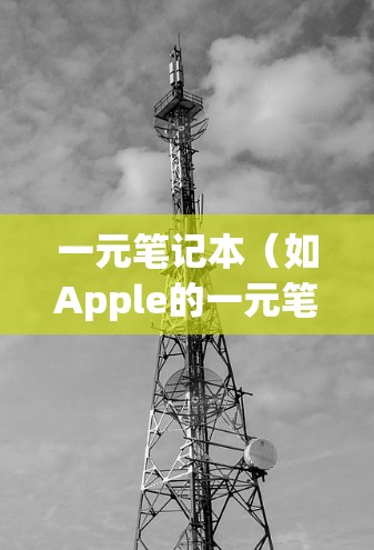 一元笔记本（如Apple的一元笔记本，如M1或M2系列）是可以连接到Airplane接口的，因此可以使用机场笔记本。以下是详细的步骤和注意事项