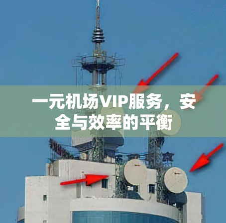 一元机场VIP服务，安全与效率的平衡