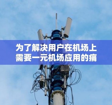 为了解决用户在机场上需要一元机场应用的痛点，以下是一些建议，帮助用户找到一个适合的解决方案