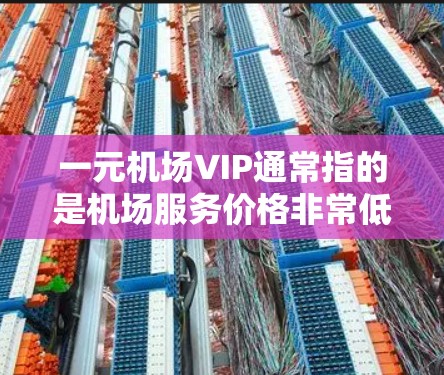一元机场VIP通常指的是机场服务价格非常低、价值极高的高端服务。如果您在机场遇到了价格特别低的服务或景点，可以考虑以下几点信息