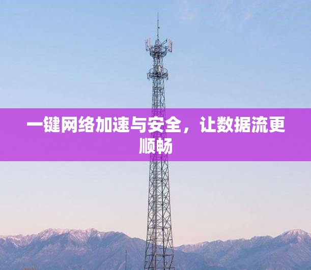 一键网络加速与安全，让数据流更顺畅