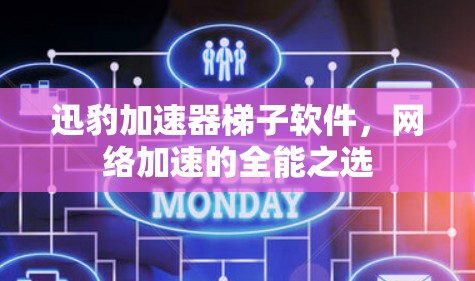 迅豹加速器梯子软件，网络加速的全能之选