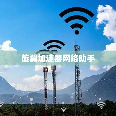 旋翼加速器网络助手