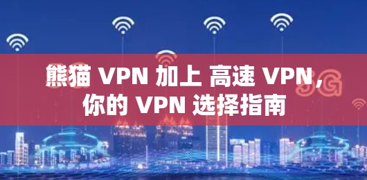 熊猫 VPN 加上 高速 VPN，你的 VPN 选择指南