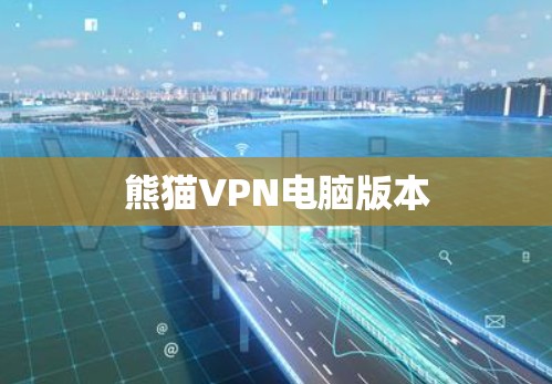 熊猫VPN电脑版本